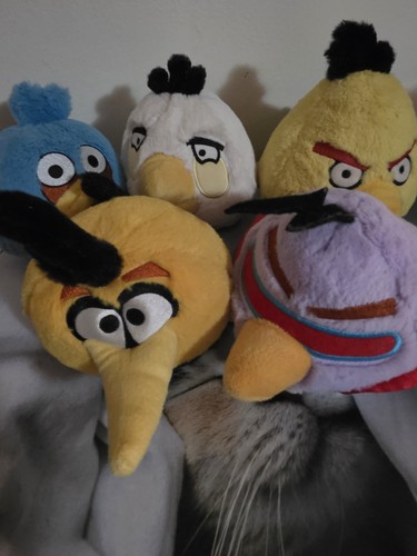 Angry birds plush lot - plush, 5